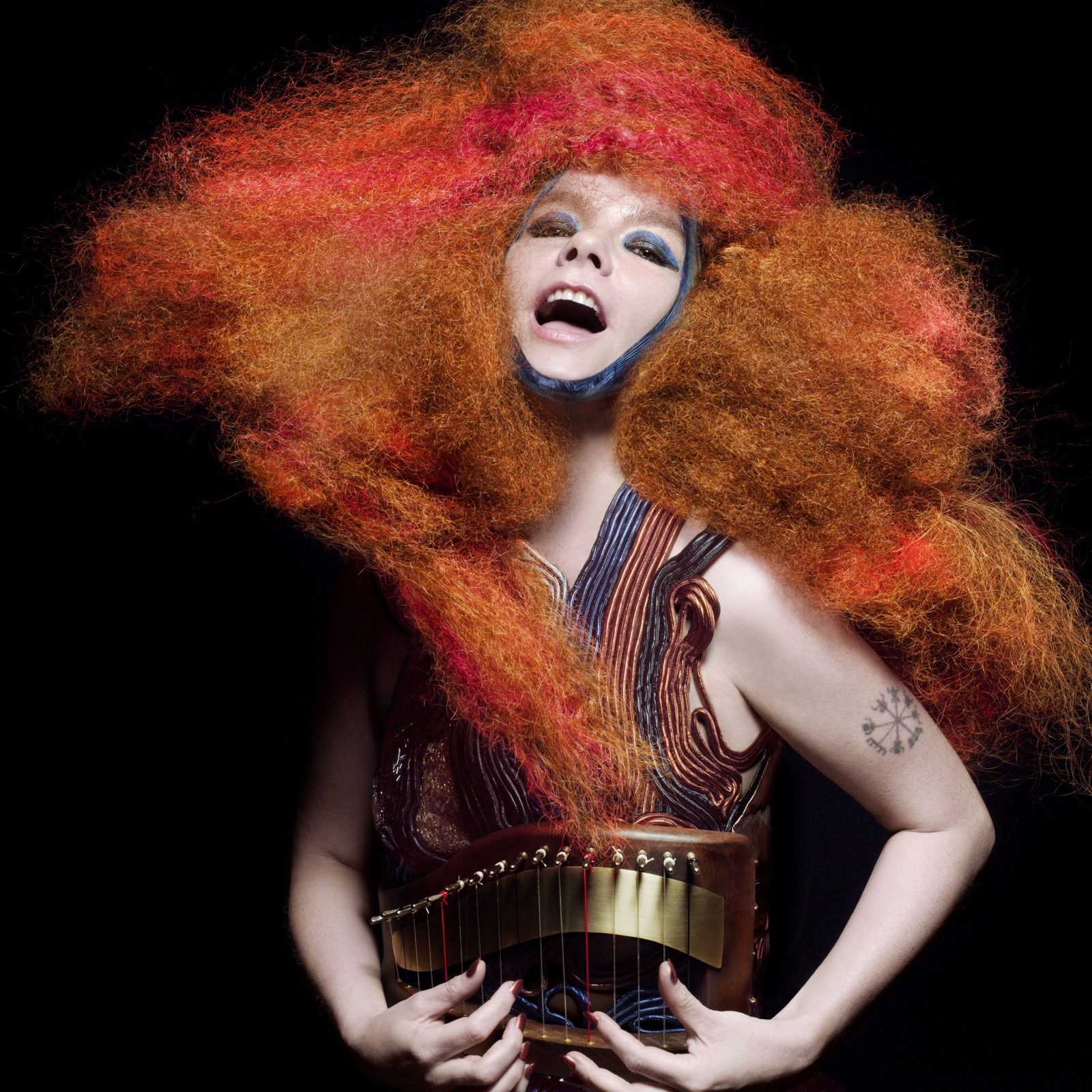 Björk promotional artist image.