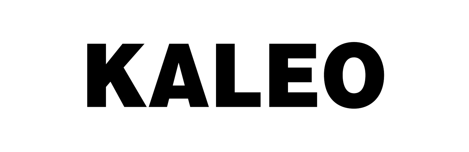 Kaleo promotional artist image.