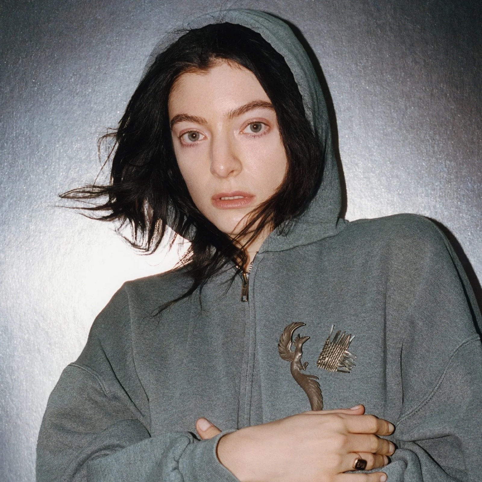 Lorde in a contemporary promotional portrait.